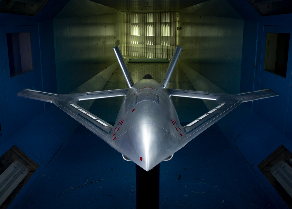 Crane_Above_Portrait_2